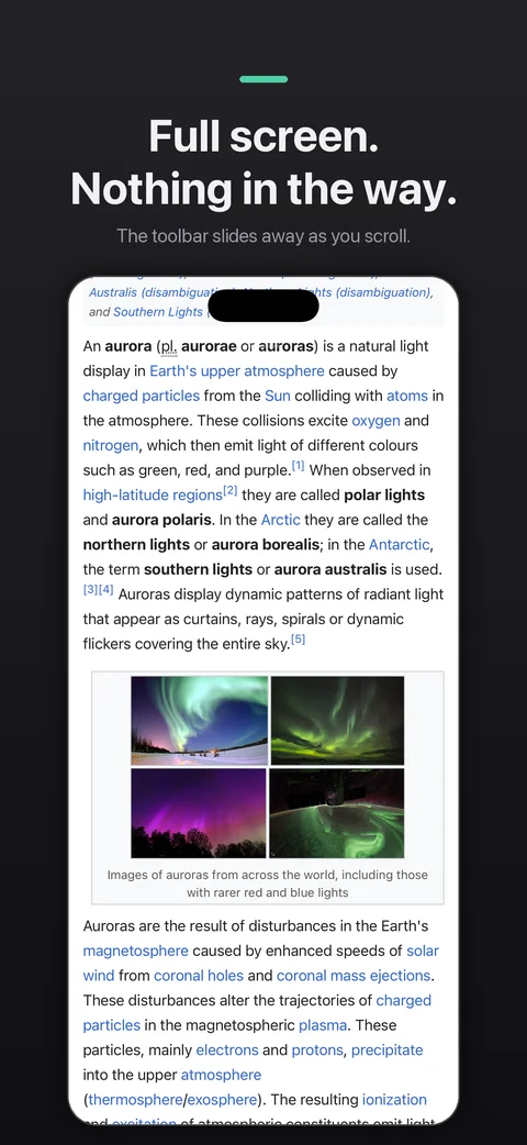 Incognito browsing full screen in True Private Browser